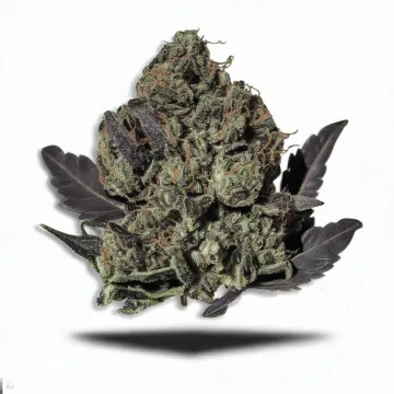 A Black Ape Cannabis bud from Ganjacy.com