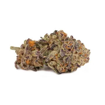 Picture of a Sugar Cane Cannabis bud from Ganjacy.com