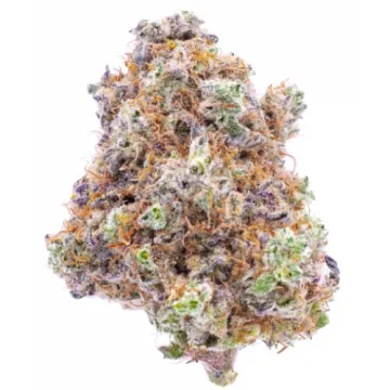 Picture of a Platinum Jelly Cannabis bud from Ganjacy.com