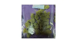 Maui Wowie from 420 Medical Cannabis Dispensary