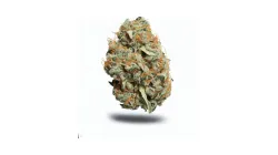 A Critical + Cannabis bud from Ganjacy.com