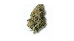A Hardcore OG Cannabis bud from Ganjacy.com