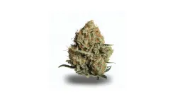 A London Poundcake Cannabis bud from Ganjacy.com