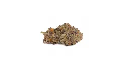 Picture of a Sugar Cane Cannabis bud from Ganjacy.com