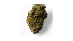 A Black Truffle Monkey Cannabis bud from Ganjacy.com