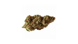 A Ling Louis Cannabis bud from Ganjacy.com