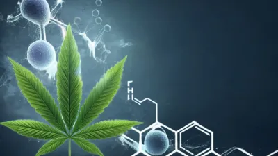 CBD for seizures