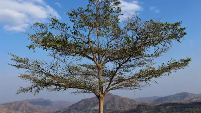 Phetchabun