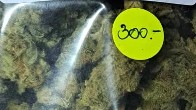 Dosido cannabis bud on Ganjacy.com