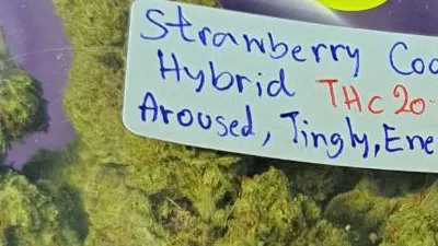 Strawberry Cookies cannabis bud on Ganjacy.com