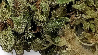 Example of Thai cannabis available for order on Ganjacy.com