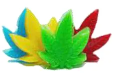 Fruit leaf CBD jellies
