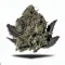 A Black Ape Cannabis bud from Ganjacy.com