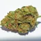 A GMO Cookies Cannabis bud from Ganjacy.com