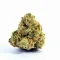 A Goofiez cannabis bud on Ganjacy.com