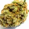 A Lychee cannabis bud on Ganjacy.com