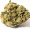 A Maui Wowie Cannabis bud from Ganjacy.com