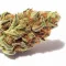 A Pinkman Goo Cannabis Bud on Ganjacy.com