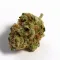 Strawberry Cookies cannabis bud on Ganjacy.com